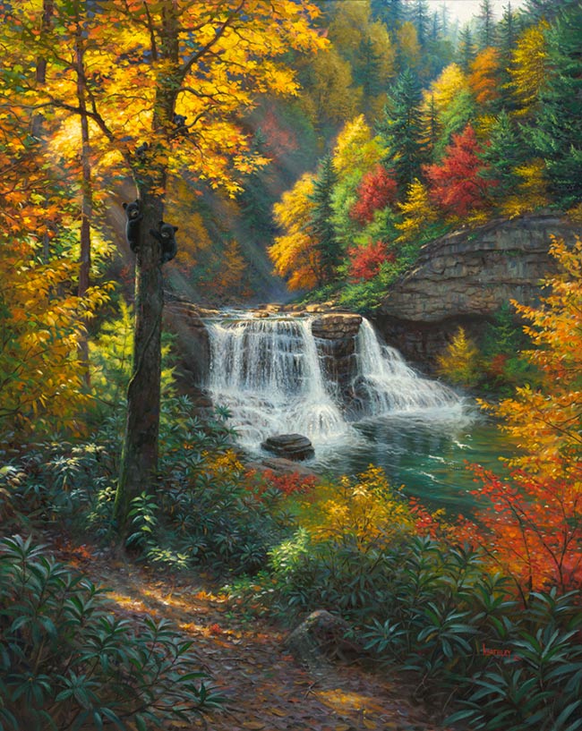 ART ~ GRIZZLY BEAR Teddy Creek Forest waterfall Mark Keathley Modern Postcard 