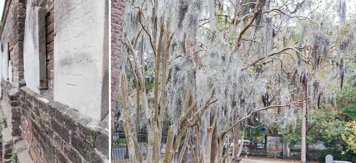 Be sure to go somewhere to check out the Spanish Moss--it adds Southern charm to this region.